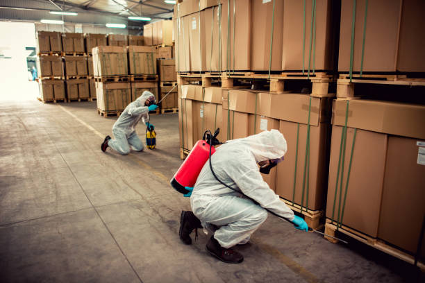 Pest Prevention Services in Goodyear, AZ