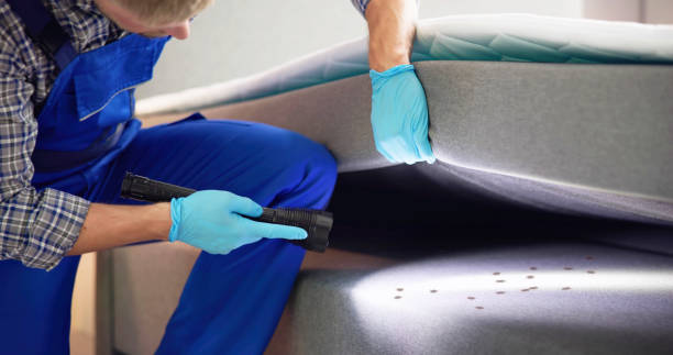 Best Flea Control Services  in Goodyear, AZ