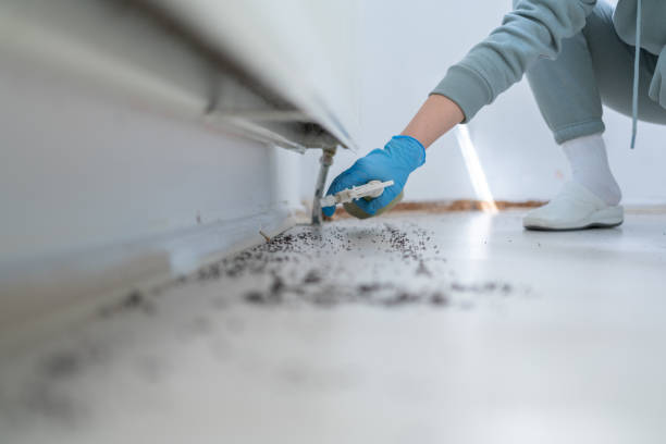 Best Pest Control for Homes  in Goodyear, AZ